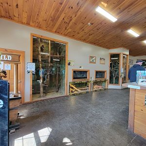 Wild Animal Park - Entrance/gift shop exhibits