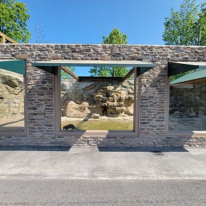 Wild Animal Park - Otters