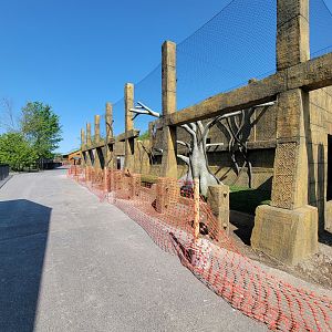 Wild Animal Park - New construction