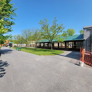 Wild Animal Park - Right to left: Olive baboons, Javan langurs, snow leopards, African penguins, pygmy hippo