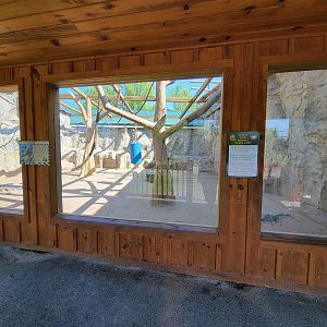 Wild Animal Park - Olive baboon exhibit