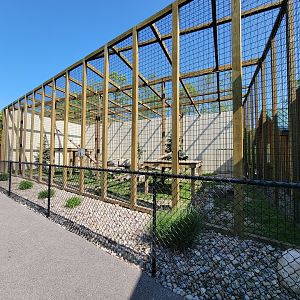 Wild Animal Park - Snow leopards