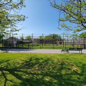Wild Animal Park - Tiger yard