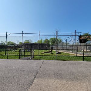 Wild Animal Park - Tiger yard