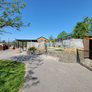 Wild Animal Park - African penguins