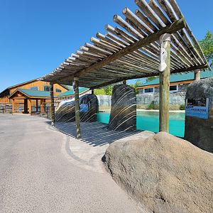 Wild Animal Park - African penguins