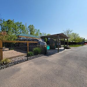 Wild Animal Park - African penguins