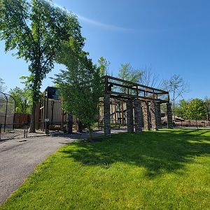 Wild Animal Park - Jaguars