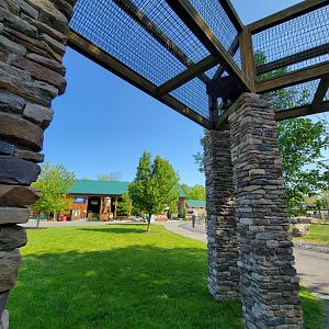 Wild Animal Park - Jaguar watching the people working in the entertainment area