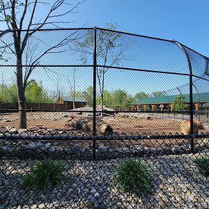 Wild Animal Park - Grizzly bears