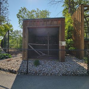 Wild Animal Park - Eurasian Eagle-Owl