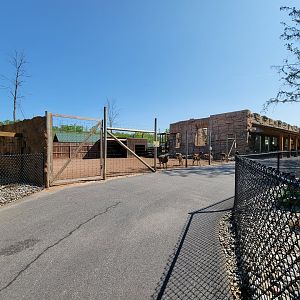 Wild Animal Park - Sika deer