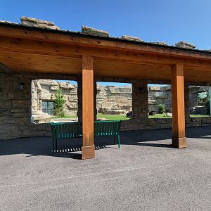 Wild Animal Park - American black bears