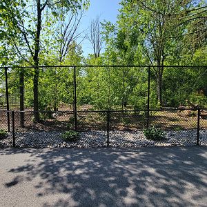 Wild Animal Park - Gray wolves