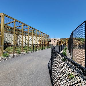 Wild Animal Park - Mountain lions on left, giraffes on right