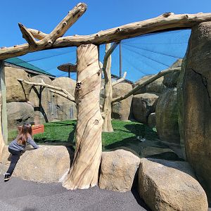 Wild Animal Park - Southern ground hornbill