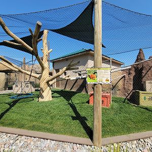 Wild Animal Park - Red ruffed lemurs