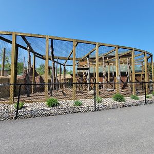 Wild Animal Park - Ring-tailed lemurs
