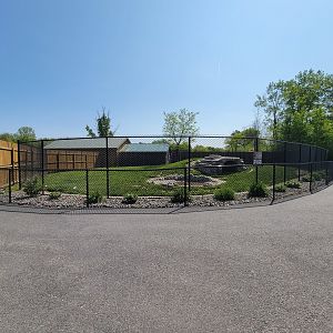 Wild Animal Park - Spotted hyenas