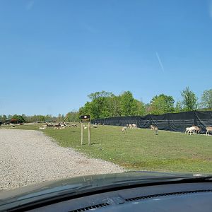 Wild Animal Park Safari - Inside entrance