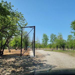 Wild Animal Park Safari - New partially fenced area?