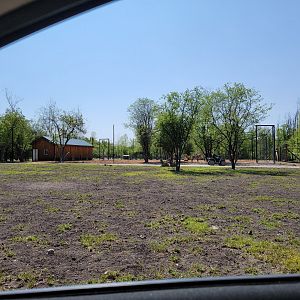 Wild Animal Park Safari - New partially fenced area?