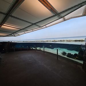 Ocean - Shallow lagune tank