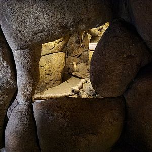 Desert - Nocturnal cavern