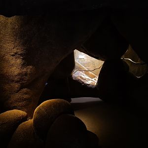 Desert - Nocturnal cavern