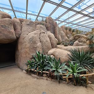 Entrance to Bush/Desert tunnel - Desert side
