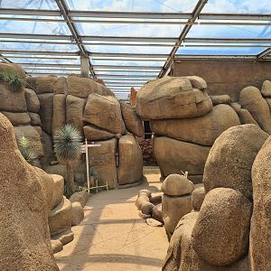 Desert - Rock formations