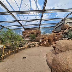 Desert - Rock path and Roadrunner aviary