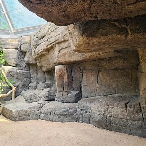 Desert - Canyon aviary sitting area