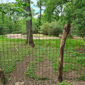 Park - "New" Swamp wallaby enclosure