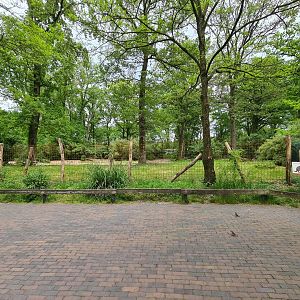 Park - "New" Swamp wallaby enclosure