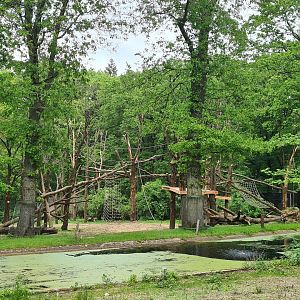Park - Chimpanzee enclosure
