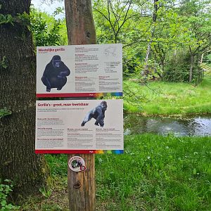 Park - New gorilla signage