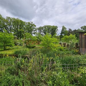 Park - Black and Ring-tailed lemur island