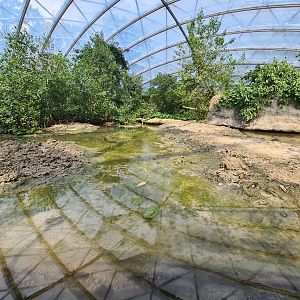 Mangrove - Mudflats exhibit