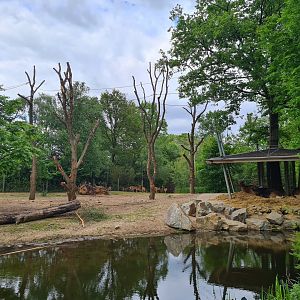 Rimba - Main paddock