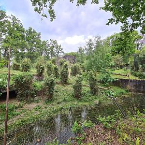 Rimba - Sumatran tiger enclosure
