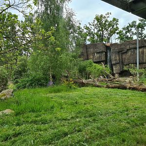 Rimba - Sumatran tiger enclosure