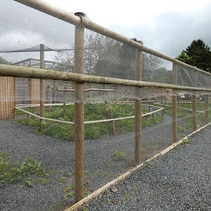 Lorikeet walk-through