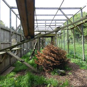 Second bobcat enclosure