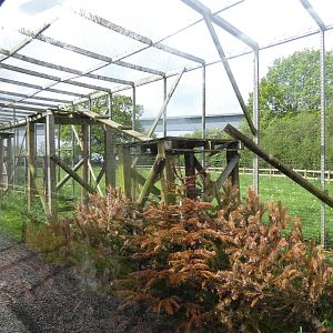 Eurasian lynx enclosure