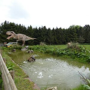 Dinosaur area