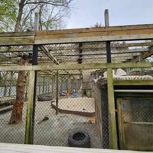 Plumpton Park Zoo - Tiger exhibit