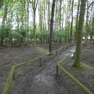 Wallaby walk-through