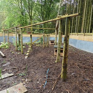 Ring-tailed coati enclosure