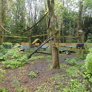 Binturong outdoor enclosure